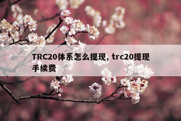 [trc20]trc20和erc20有什么区别