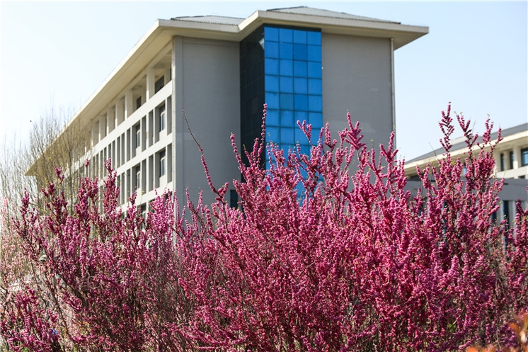 [郑州财经学院]郑州财经学院是几本