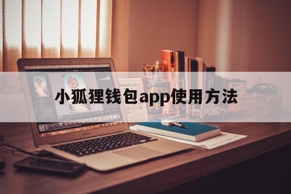 小狐狸钱包app使用方法、小狐狸钱包app使用方法图解