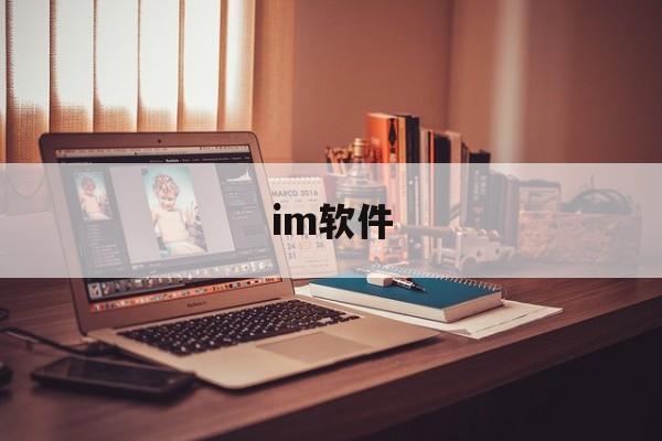 im软件、unisim软件