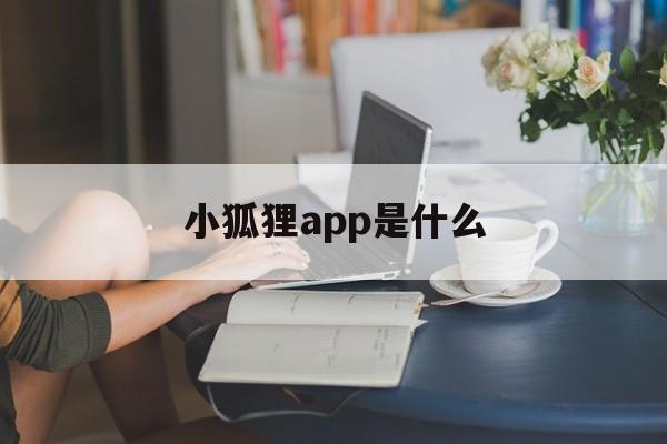 小狐狸app是什么、小王子和小狐狸是什么关系