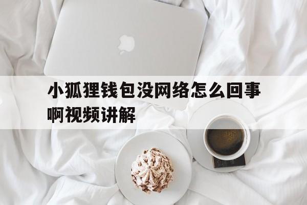 小狐狸钱包没网络怎么回事啊视频讲解的简单介绍