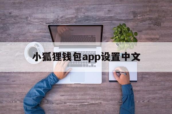 小狐狸钱包app设置中文、小狐狸钱包app设置中文版