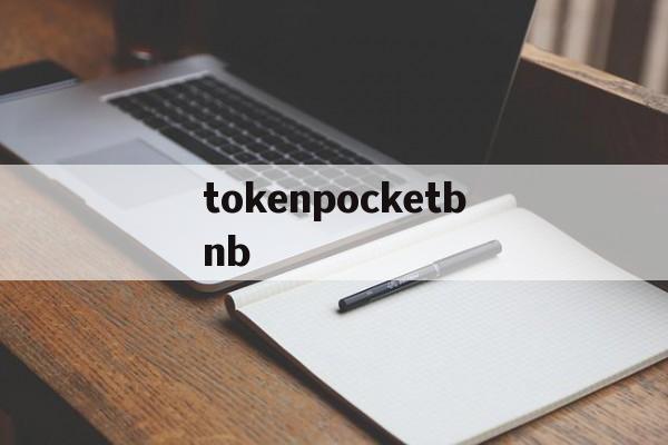 tokenpocketbnb、besidethepoint翻译