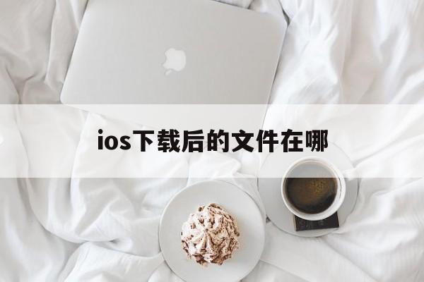 ios下载后的文件在哪、iphone下载的文件在哪