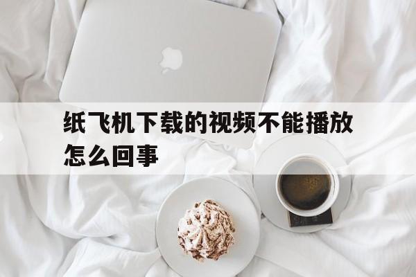 纸飞机下载的视频不能播放怎么回事、纸飞机下载的视频不能播放怎么回事呢