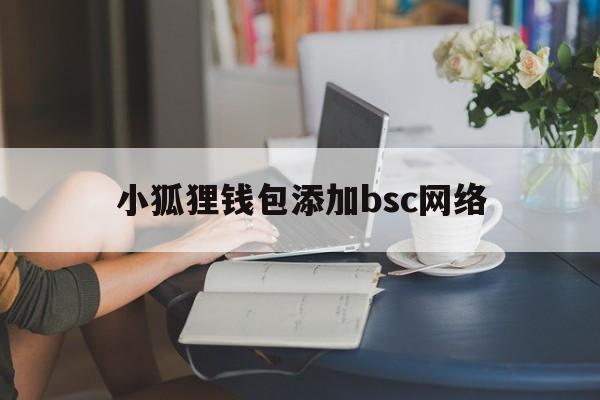 小狐狸钱包添加bsc网络、小狐狸钱包手机版切换bsc链