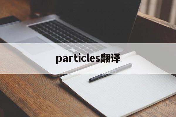 particles翻译、particulars翻译