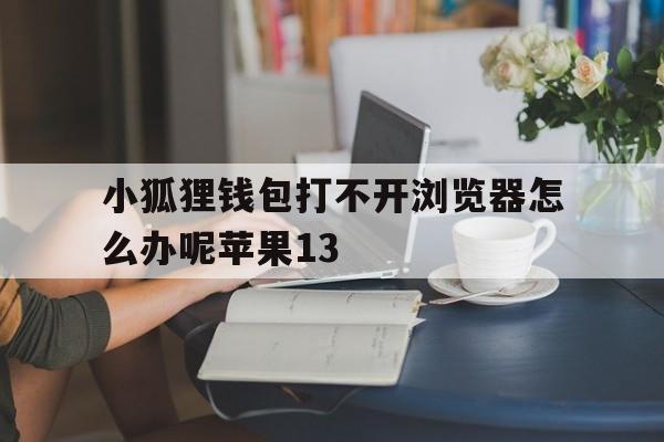 小狐狸钱包打不开浏览器怎么办呢苹果13、小狐狸钱包打不开浏览器怎么办呢苹果13pro