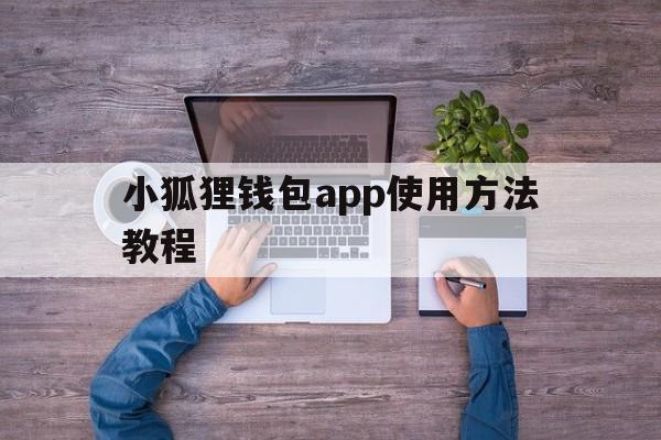 小狐狸钱包app使用方法教程、小狐狸钱包app使用方法教程图片