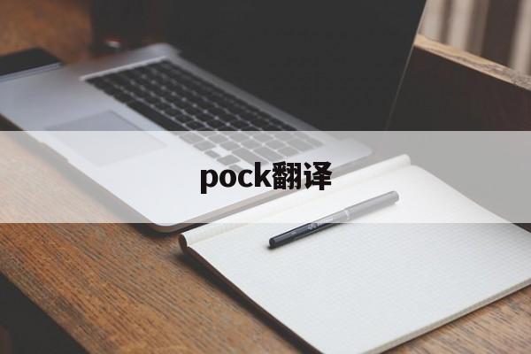 pock翻译、pockets翻译