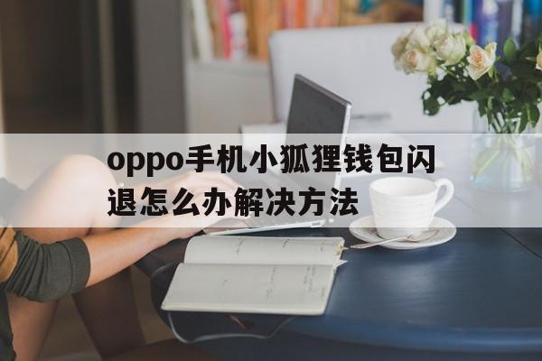 oppo手机小狐狸钱包闪退怎么办解决方法、oppo手机小狐狸钱包闪退怎么办解决方法视频