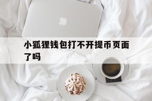 小狐狸钱包打不开提币页面了吗、小狐狸钱包打不开提币页面了吗安全吗