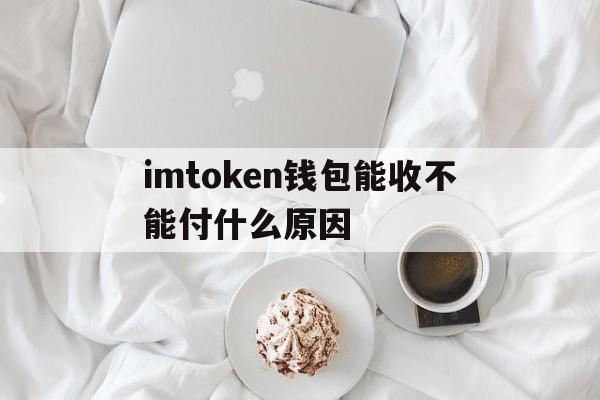 包含imtoken钱包能收不能付什么原因的词条