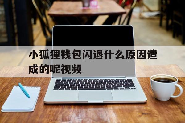 小狐狸钱包闪退什么原因造成的呢视频、小狐狸钱包闪退什么原因造成的呢视频教程