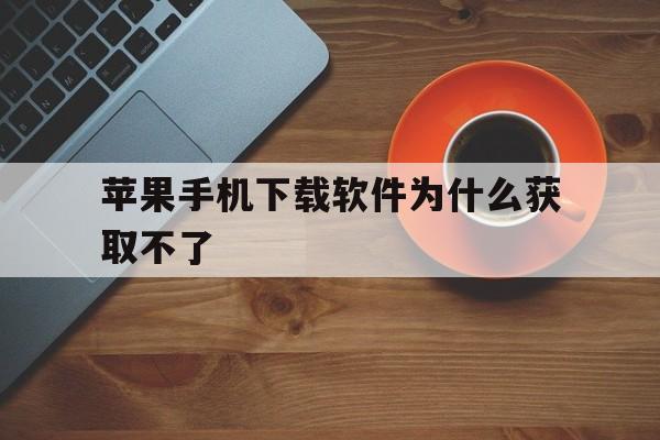 苹果手机下载软件为什么获取不了、iphone无法下载app是什么情况