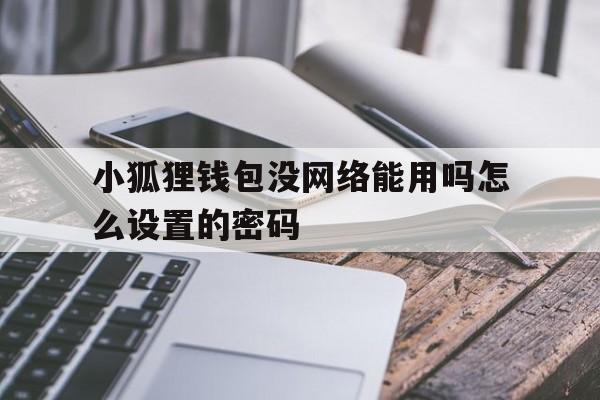 小狐狸钱包没网络能用吗怎么设置的密码、小狐狸钱包没网络能用吗怎么设置的密码登录