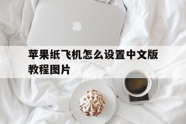 苹果纸飞机怎么设置中文版教程图片的简单介绍