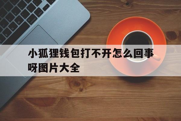 小狐狸钱包打不开怎么回事呀图片大全、小狐狸钱包打不开怎么回事呀图片大全视频