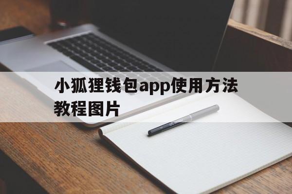 小狐狸钱包app使用方法教程图片、小狐狸钱包app使用方法教程图片大全