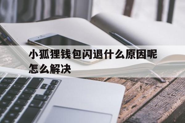 小狐狸钱包闪退什么原因呢怎么解决、小狐狸钱包闪退什么原因呢怎么解决啊