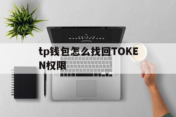 tp钱包怎么找回TOKEN权限的简单介绍