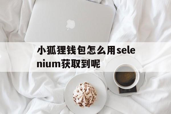 小狐狸钱包怎么用selenium获取到呢的简单介绍