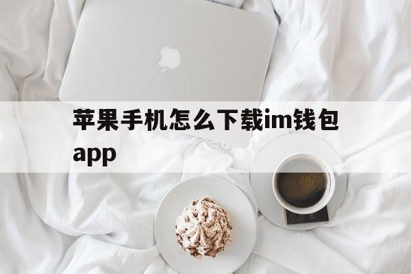 苹果手机怎么下载im钱包app、iphone怎么下载imtoken