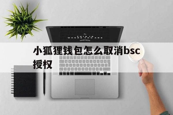 小狐狸钱包怎么取消bsc授权、小狐狸钱包怎么取消bsc授权服务