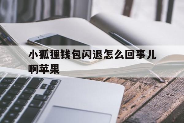 小狐狸钱包闪退怎么回事儿啊苹果、小狐狸钱包闪退怎么回事儿啊苹果手机