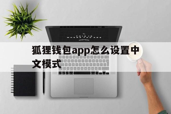 狐狸钱包app怎么设置中文模式、狐狸钱包app怎么设置中文模式手机