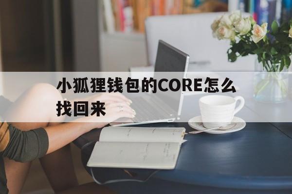 小狐狸钱包的CORE怎么找回来的简单介绍