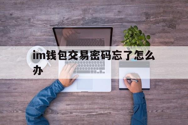 im钱包交易密码忘了怎么办、im钱包忘记密码和助记词能找回不