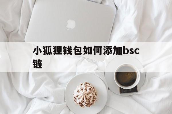 小狐狸钱包如何添加bsc链、小狐狸钱包如何添加bsc链接设备