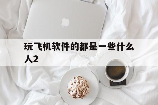 关于玩飞机软件的都是一些什么人2的信息