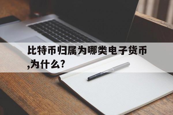 包含比特币归属为哪类电子货币,为什么?的词条