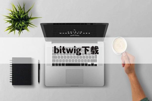 bitwig下载、abigblackbugbit