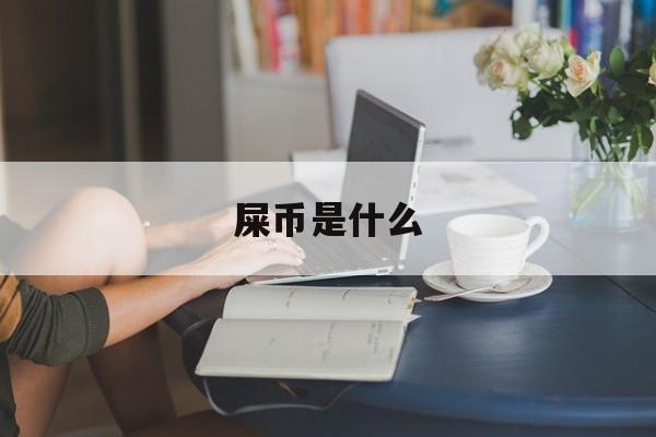 屎币是什么、屎币是什么时候发行的