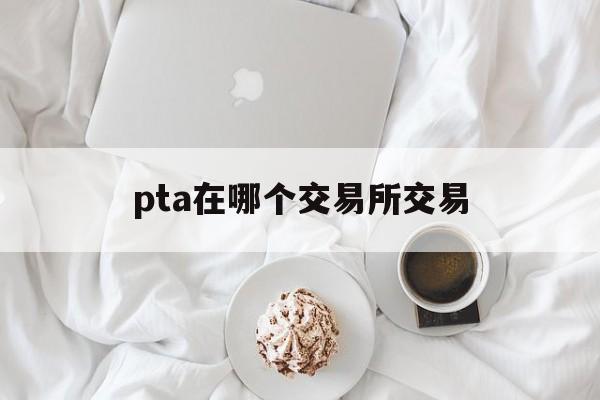 pta在哪个交易所交易、pta交易需要10万资金吗