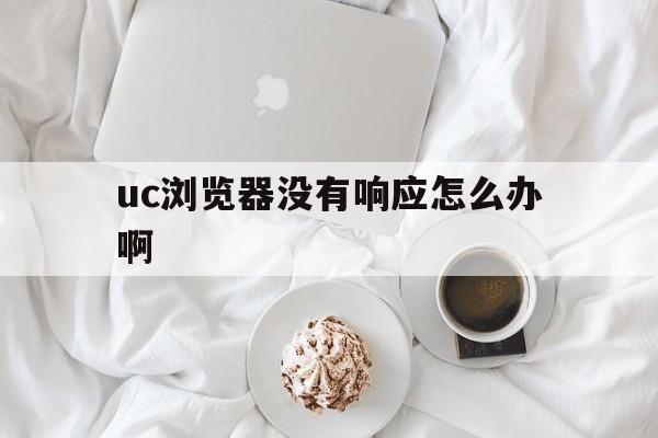 uc浏览器没有响应怎么办啊、uc浏览器没有响应怎么办啊怎么解决