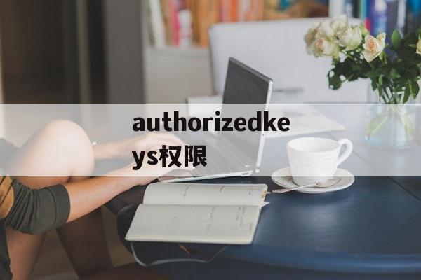 authorizedkeys权限、authorized users only all activities