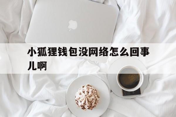 小狐狸钱包没网络怎么回事儿啊的简单介绍