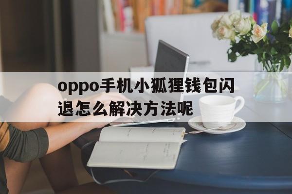 关于oppo手机小狐狸钱包闪退怎么解决方法呢的信息