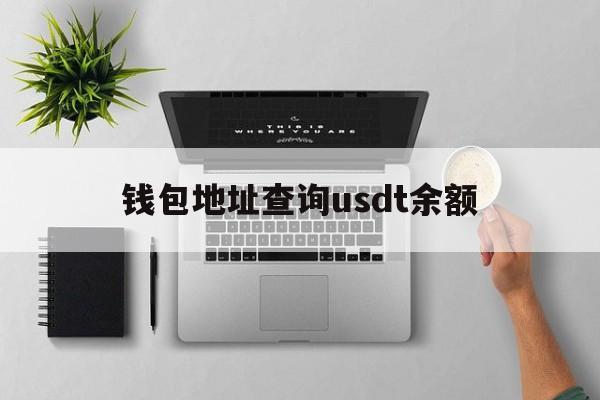 钱包地址查询usdt余额,怎么查钱包地址的usdt余额