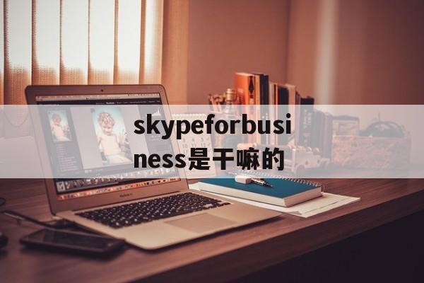 skypeforbusiness是干嘛的,skype for business干什么用