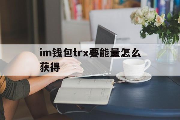 im钱包trx要能量怎么获得,imtoken钱包trx怎么获得