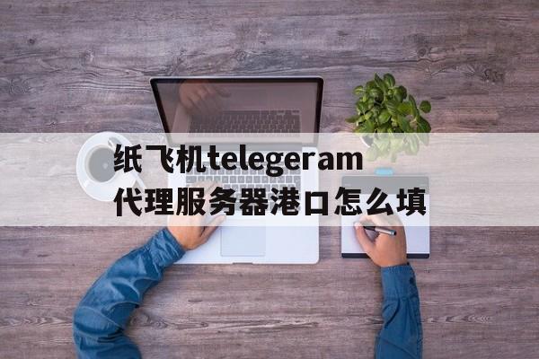 纸飞机telegeram代理服务器港口怎么填的简单介绍