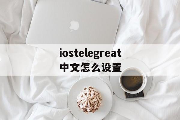 iostelegreat中文怎么设置,苹果手机telegreat中文怎么设置