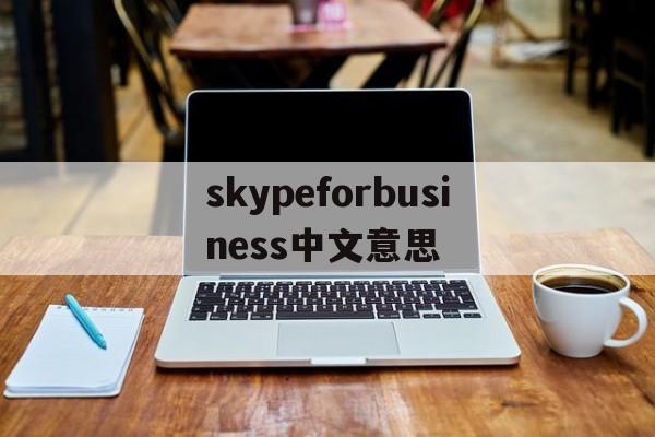 skypeforbusiness中文意思,skype for business中文意思