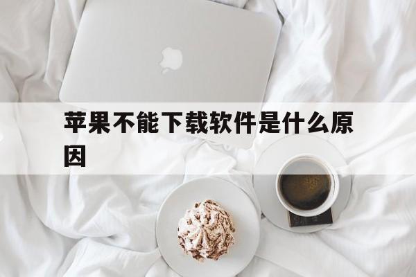 苹果不能下载软件是什么原因,iphone不能下载软件的原因